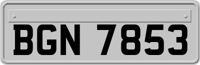 BGN7853
