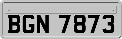 BGN7873