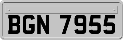 BGN7955