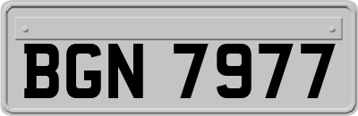 BGN7977