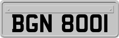 BGN8001