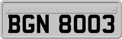 BGN8003