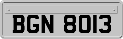BGN8013