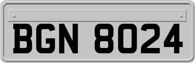 BGN8024