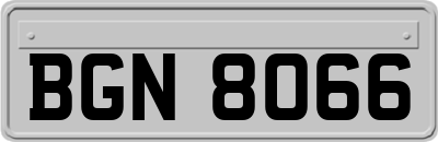 BGN8066