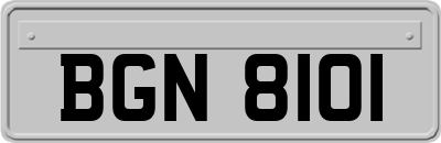 BGN8101