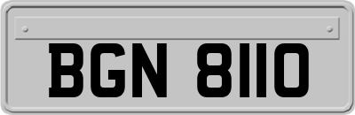 BGN8110