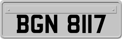 BGN8117