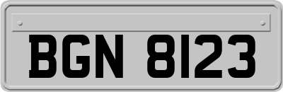 BGN8123
