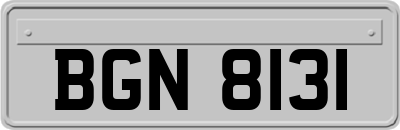 BGN8131