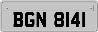 BGN8141