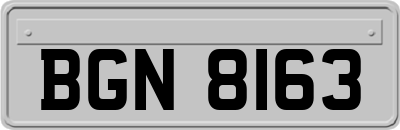 BGN8163