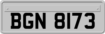 BGN8173