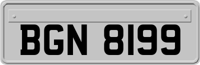 BGN8199