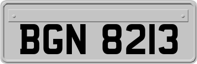 BGN8213