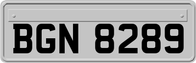BGN8289