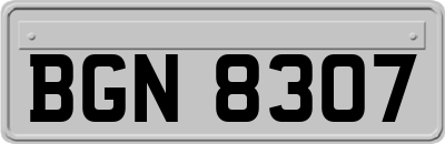 BGN8307