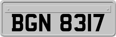BGN8317
