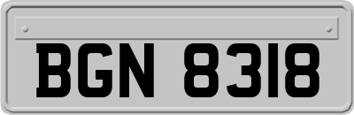 BGN8318