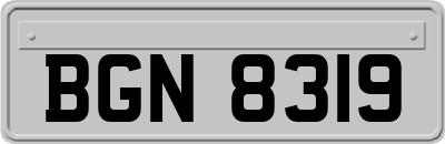 BGN8319