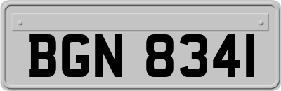 BGN8341
