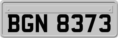 BGN8373