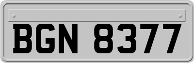 BGN8377