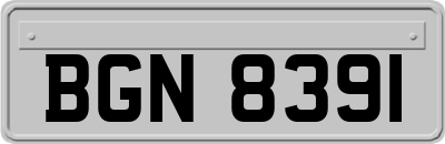 BGN8391