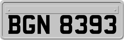 BGN8393