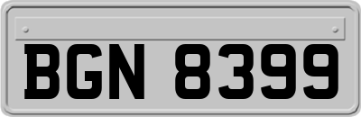 BGN8399