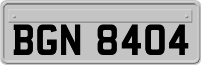 BGN8404