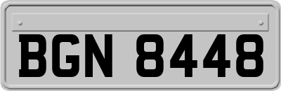 BGN8448