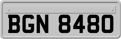 BGN8480