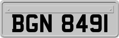 BGN8491