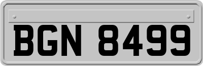 BGN8499