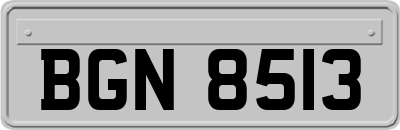 BGN8513
