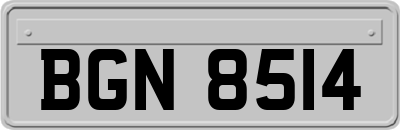 BGN8514