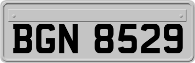 BGN8529