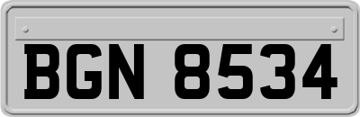 BGN8534