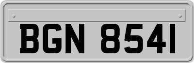 BGN8541