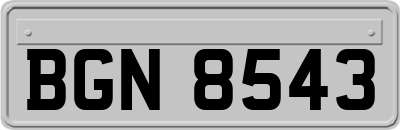 BGN8543