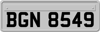 BGN8549