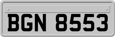 BGN8553