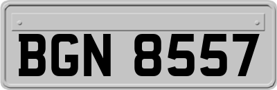 BGN8557