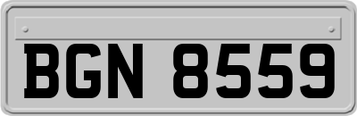 BGN8559