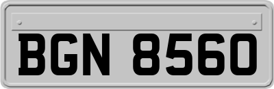 BGN8560