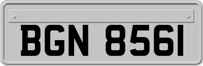BGN8561