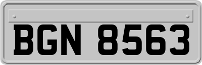 BGN8563