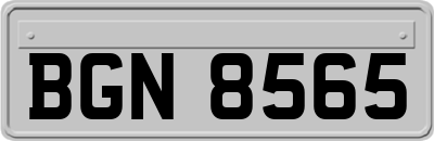 BGN8565