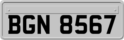 BGN8567